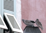 开云体育-巨人神降临，新秀文班亚马在东部决赛的夜晚，以一记盖帽和两记三分改写历史