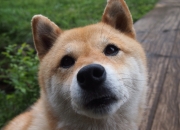 开云sport-铁壁围城与孤胆英雄，西班牙封锁比利时，凯恩成为关键先生