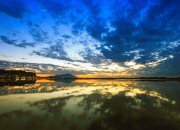 开云体育中国-风暴眼中绽放的冰玫瑰，灰熊巅峰对决，哈利伯顿一记绝杀定江山