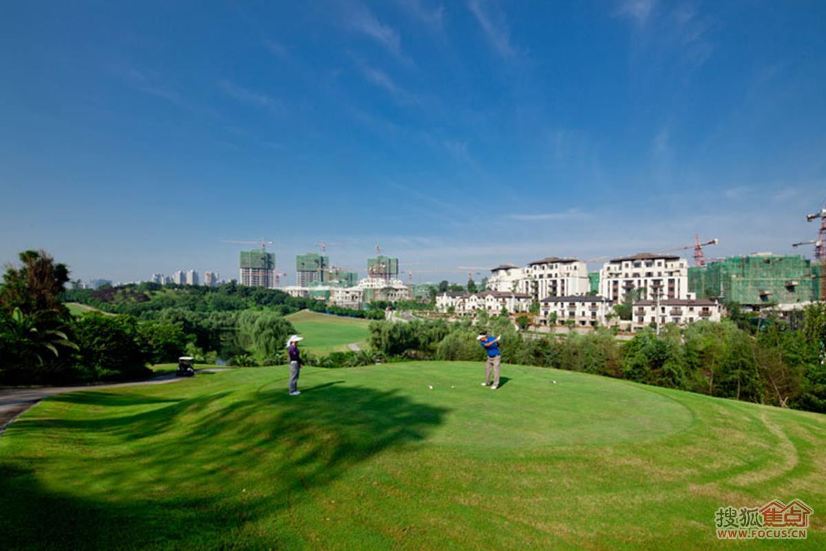 专家预测高尔夫胜率超六成,结果成焦点的简单介绍 专家预测高尔夫胜率超六成,结果成焦点的简单介绍