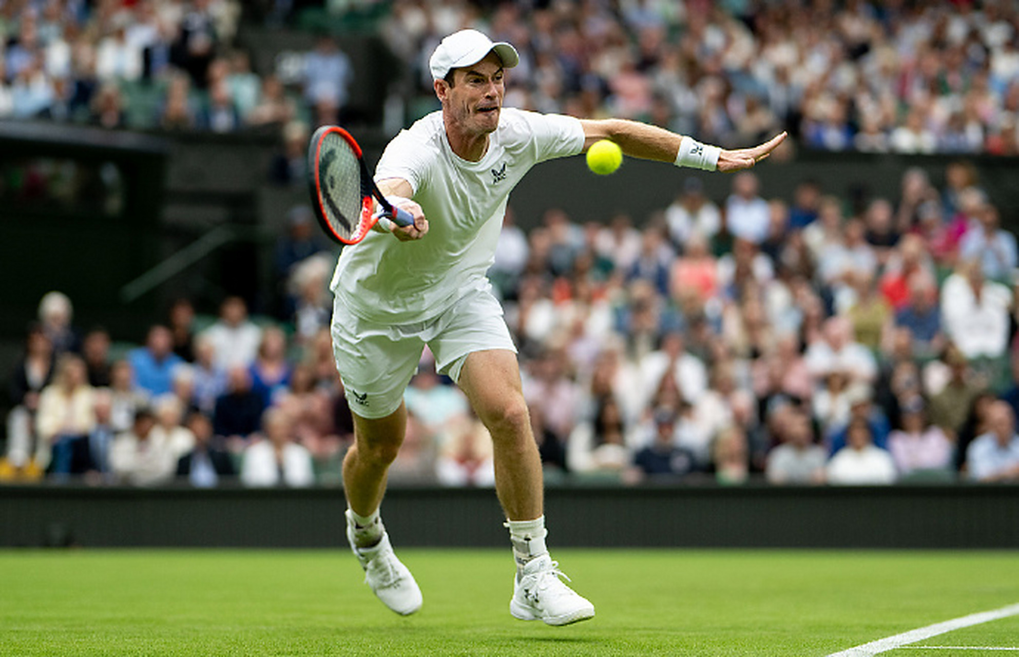 法网鏖战ATP总决赛,穆雷状态火热的简单介绍 法网鏖战ATP总决赛,穆雷状态火热的简单介绍