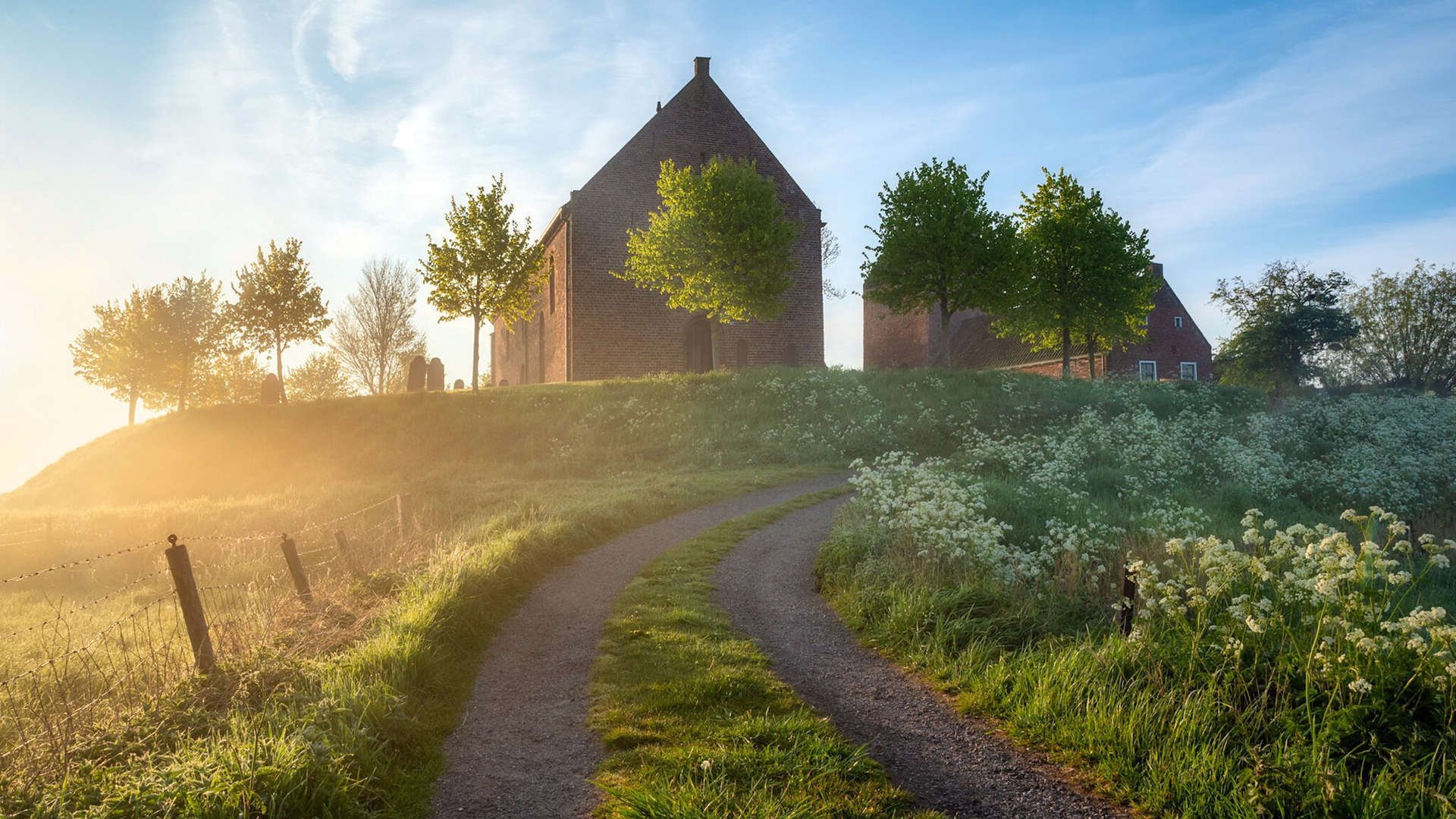 强势逆袭!黄蜂蛰伤老鹰,米切尔一锤定音成关键先生