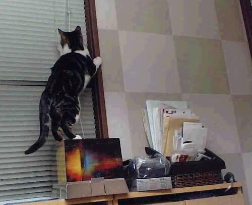 1.休城风暴,火箭末节一波流横扫国王,马克西演绎王者压制