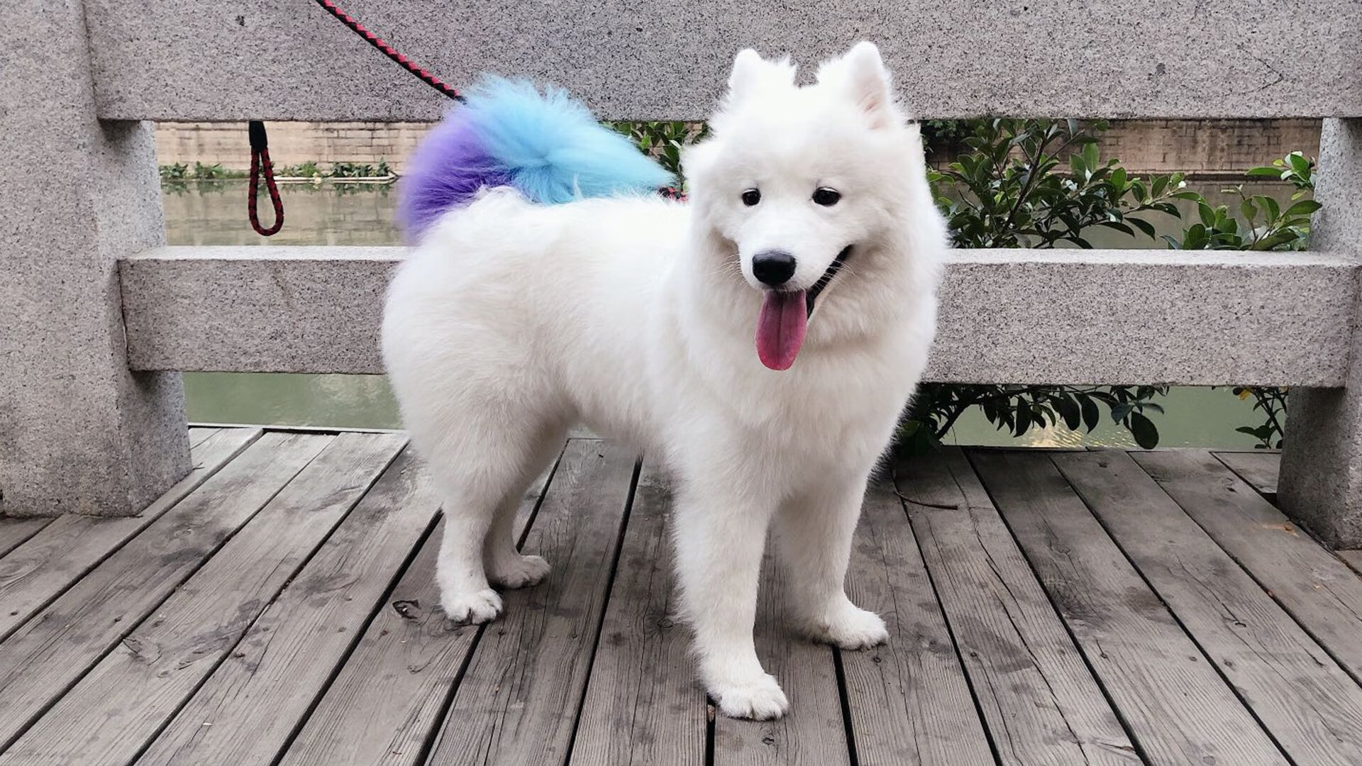 半场演出秀,半场绞肉机—拉梅洛跨界对决中持续制造杀伤