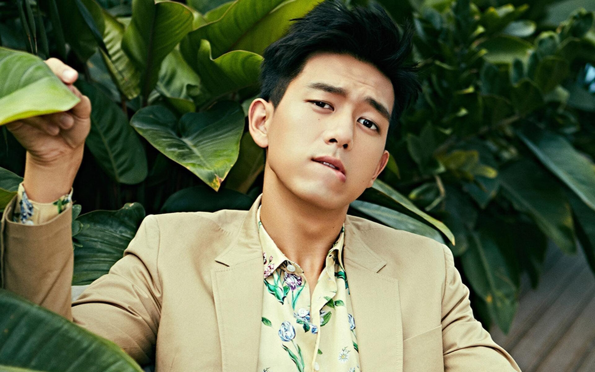 跨界掌控者,从鹈鹕到德甲,几何定律如何统治赛场