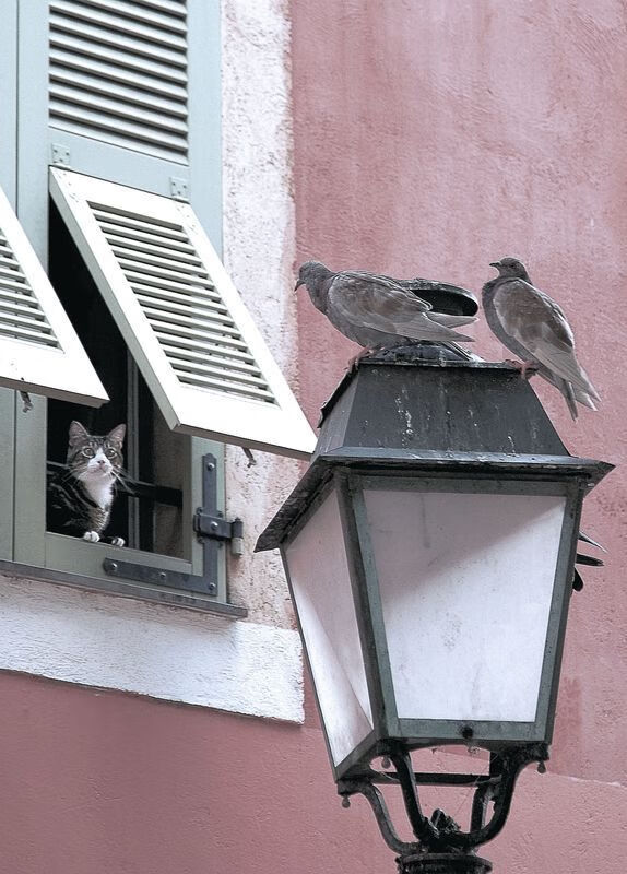 巨人神降临,新秀文班亚马在东部决赛的夜晚,以一记盖帽和两记三分改写历史