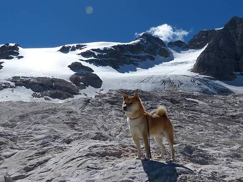 南十字星闪耀欧冠夜！新西兰冠军一波流摧垮马赛，改写足球版图