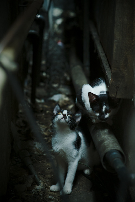 钢铁丛林与爱琴海，当广东的铜墙铁壁遇见密尔沃基的海啸