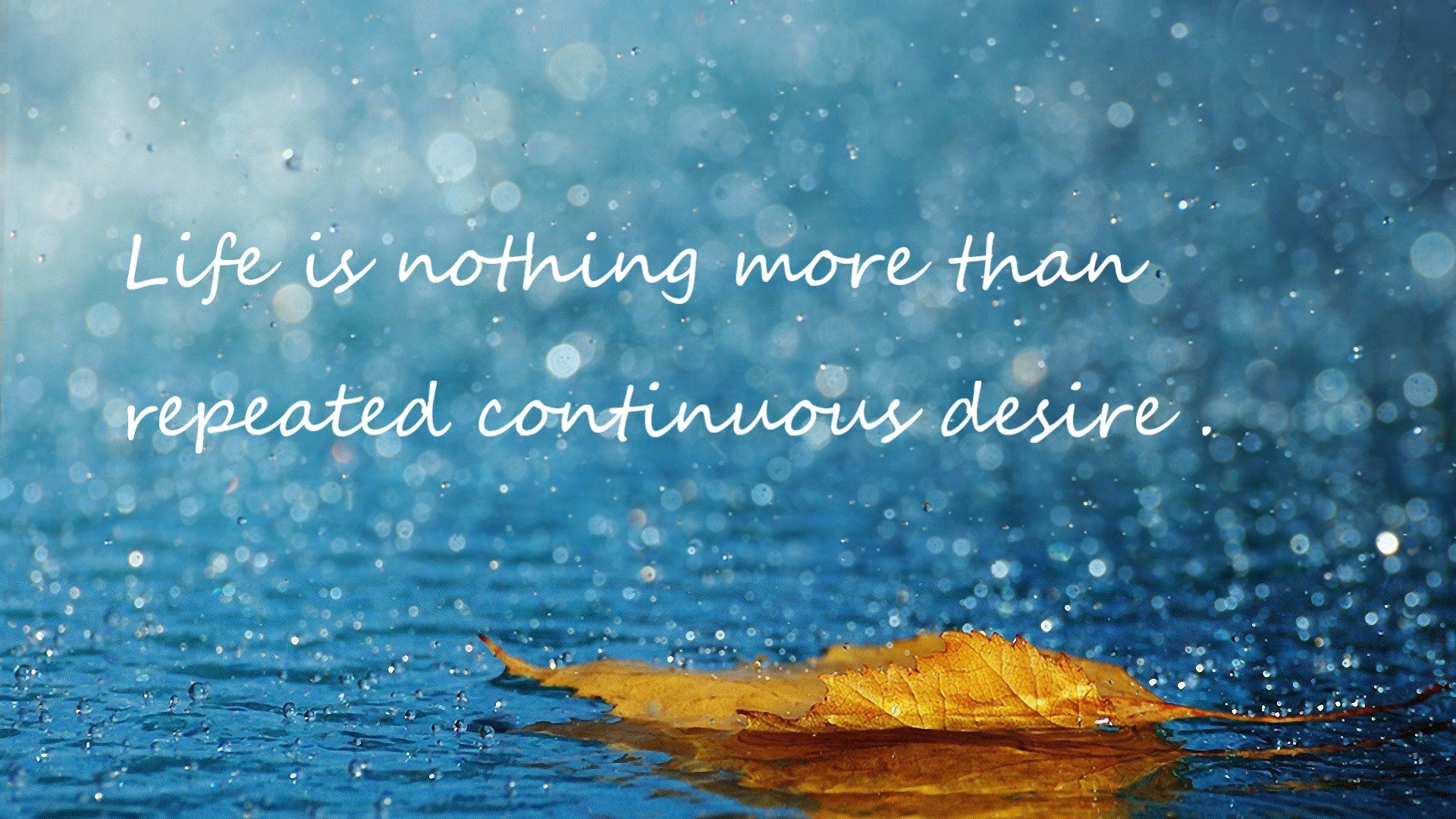 东西部同时上演命运分叉路，76人强行终结篮网，福克斯孤星斩阵确立硬仗之王