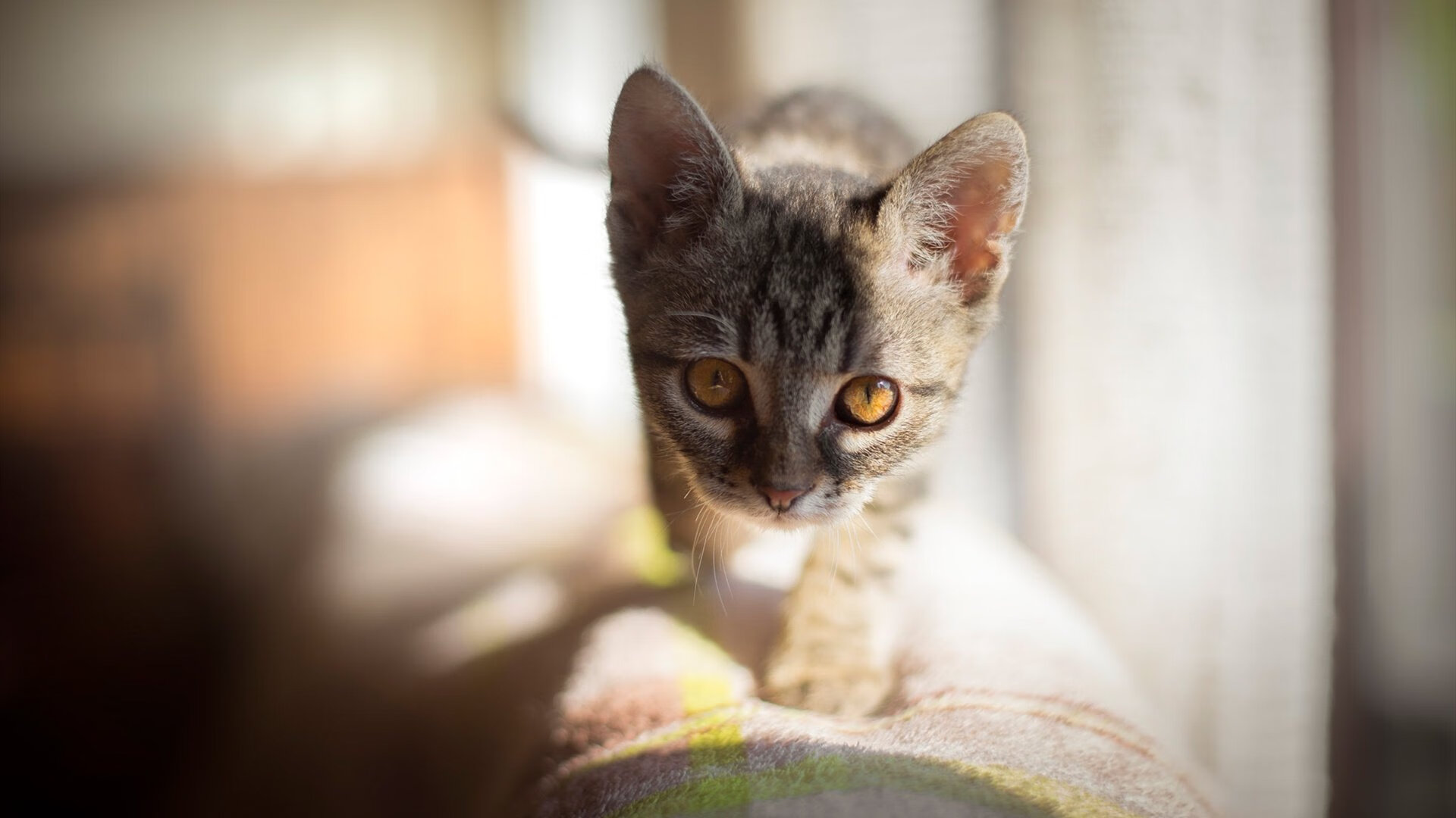 欧冠半决赛之夜，孙兴慜，冰与火的辩证法