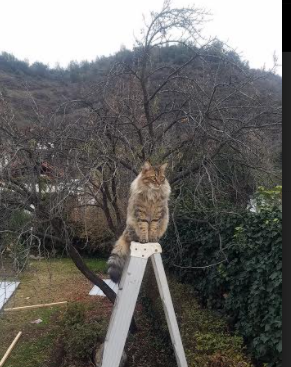 杜兰特斩断金色黄昏，当太阳陨落时，一个孤胆王者的归位