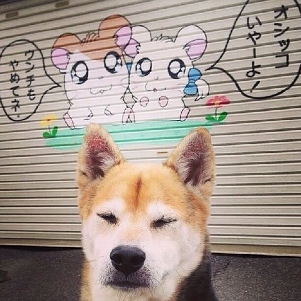 孤注一掷的荣耀,2026世界杯C组关键战,罗马尼亚大胜奥地利,C罗带队书写绝唱