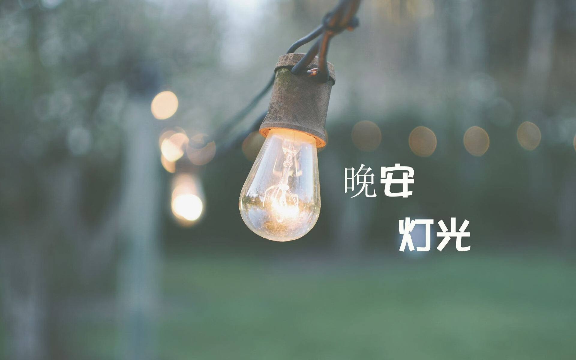 沙漠绿洲的陷落，当美国风暴席卷F组，坎塞洛用防守反击写下唯一答案