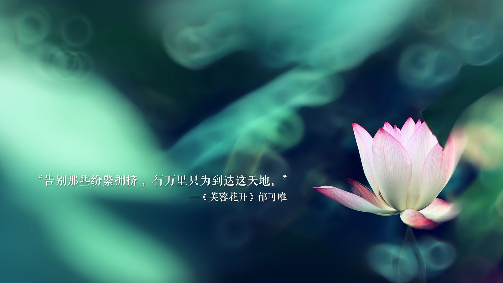 沙漠风暴,2026世界杯B组之夜,阿联酋如何用最后三分钟改写足球史